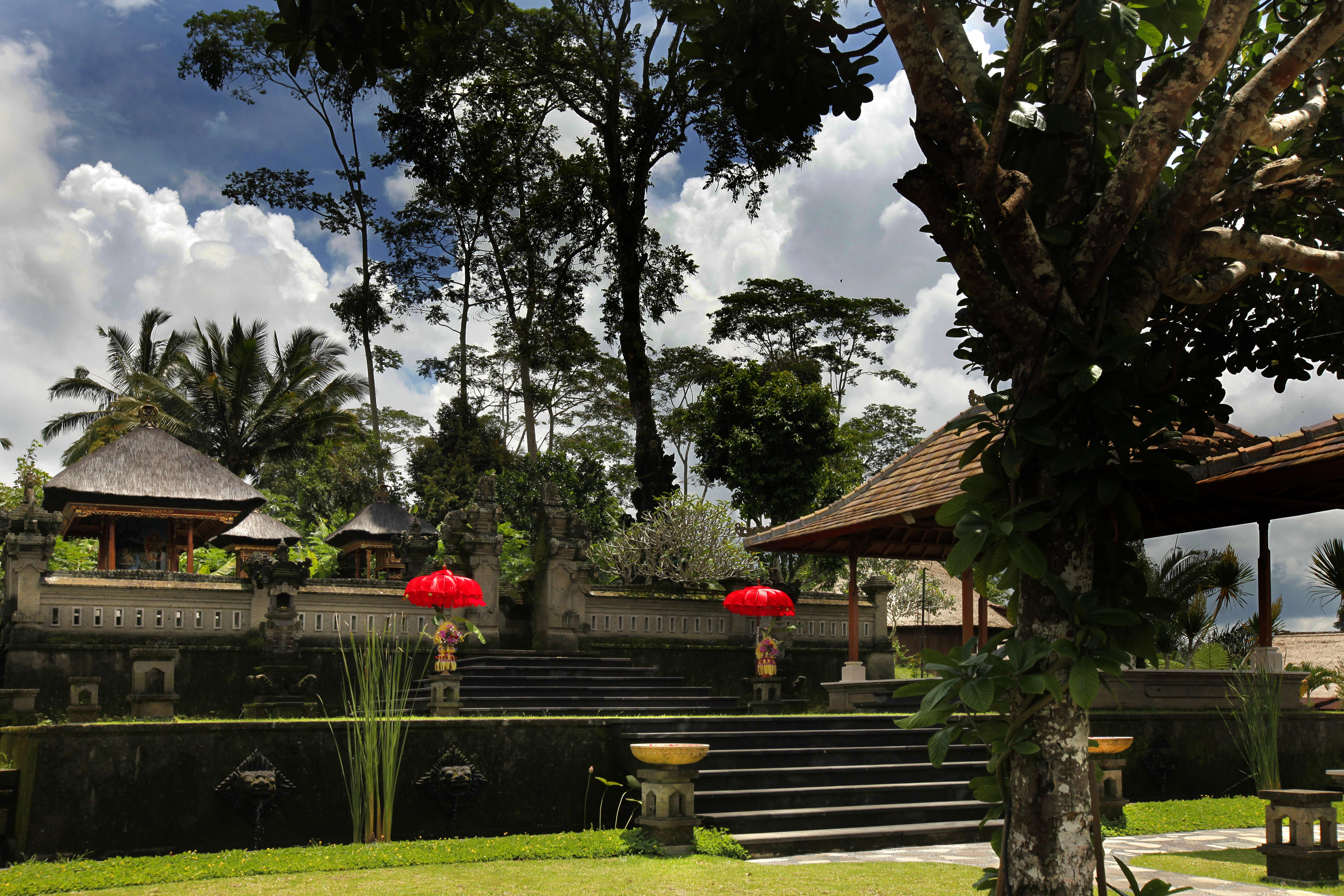 Hotel Bagus Jati Health & Wellbeing Retreat à Tegallalang  Extérieur photo